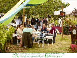 Festival Mar de Tethys 2026 - Bodega Vetas